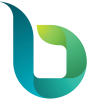 Brimit